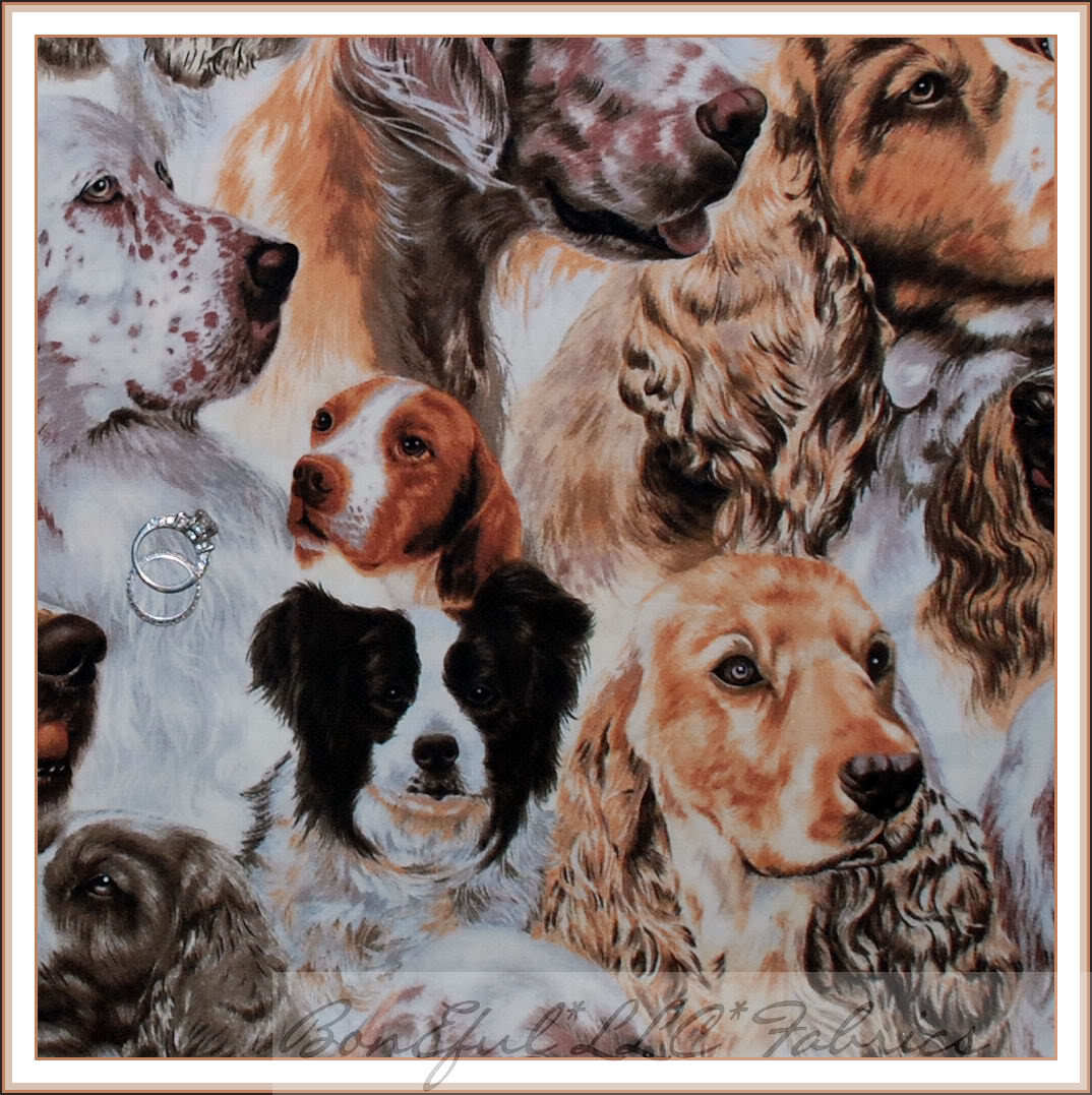 What Hunting Dog Has The Best Nose