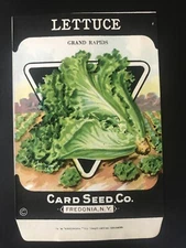1920s Litho Antique Vintage Card Seed Co. Packet Pack Lettuce Grand rapids