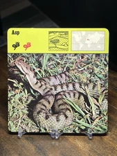 Asp, 1975 Editions Recontre 4 3/4" x 4 3/4" Card