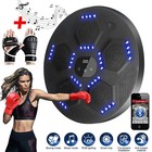 Boxing Training Target Wall Mount Bluetooth Music Indoor React Exercise Machine