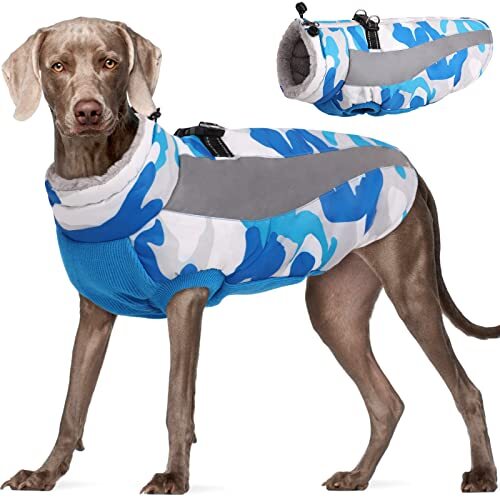 Dog Winter Coat FUAMEY Soft Fleece 