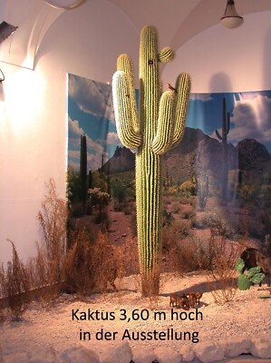 Kunstobjekt Saguaro-Kaktus 3,60m hoch, weiche Dornen, frei modelliert, koloriert