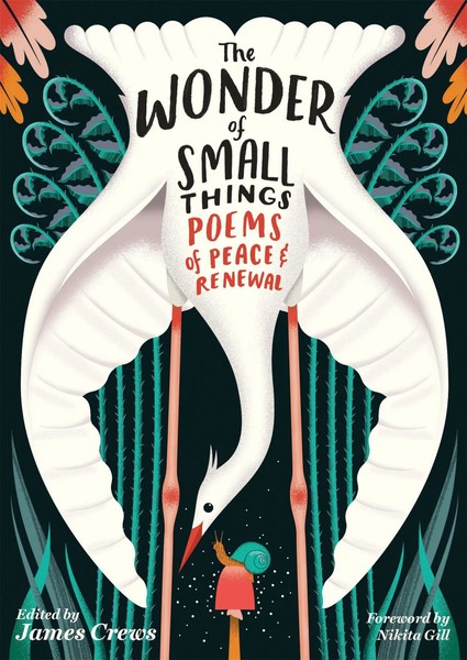 The Wonder Of Small Things | Poems Of Peace And Renewal | James Crews | Englisch-image