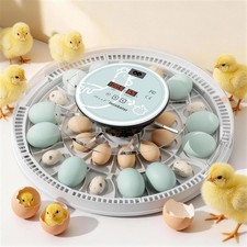 Egg Incubator for Hatching 28 Eggs, Auto Flip, Independent Atomizing Humidifier,