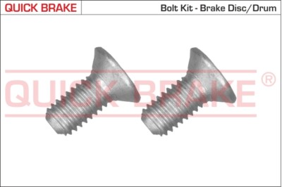 QUICK BRAKE 11671K Screw Set, brake disc for ABARTH CITROËN DS FIAT FORD HONDA O
