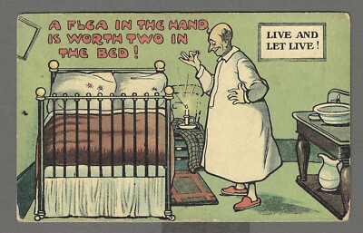 Vintage Comic Postkarte ''Ein Floh in der Hand ist zwei wert im Bett!