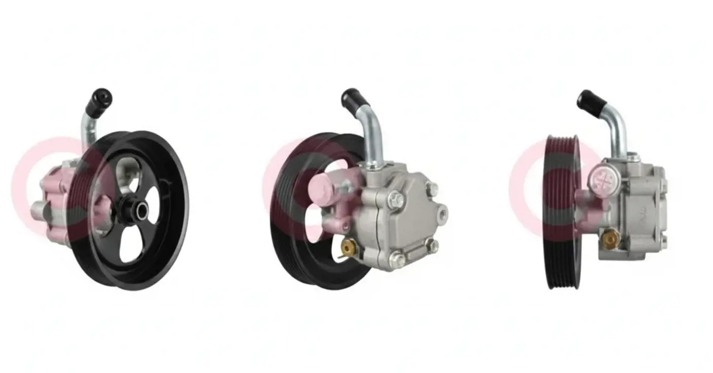 Pompa servosterzo idraulico con puleggia cinghia Poly-V CSP85102AS CASCO