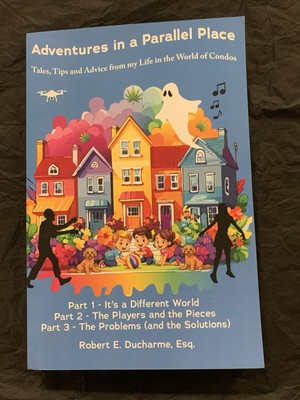 Adventures in a Parallel Place: Tales, Tips & Advice from my Life in the World