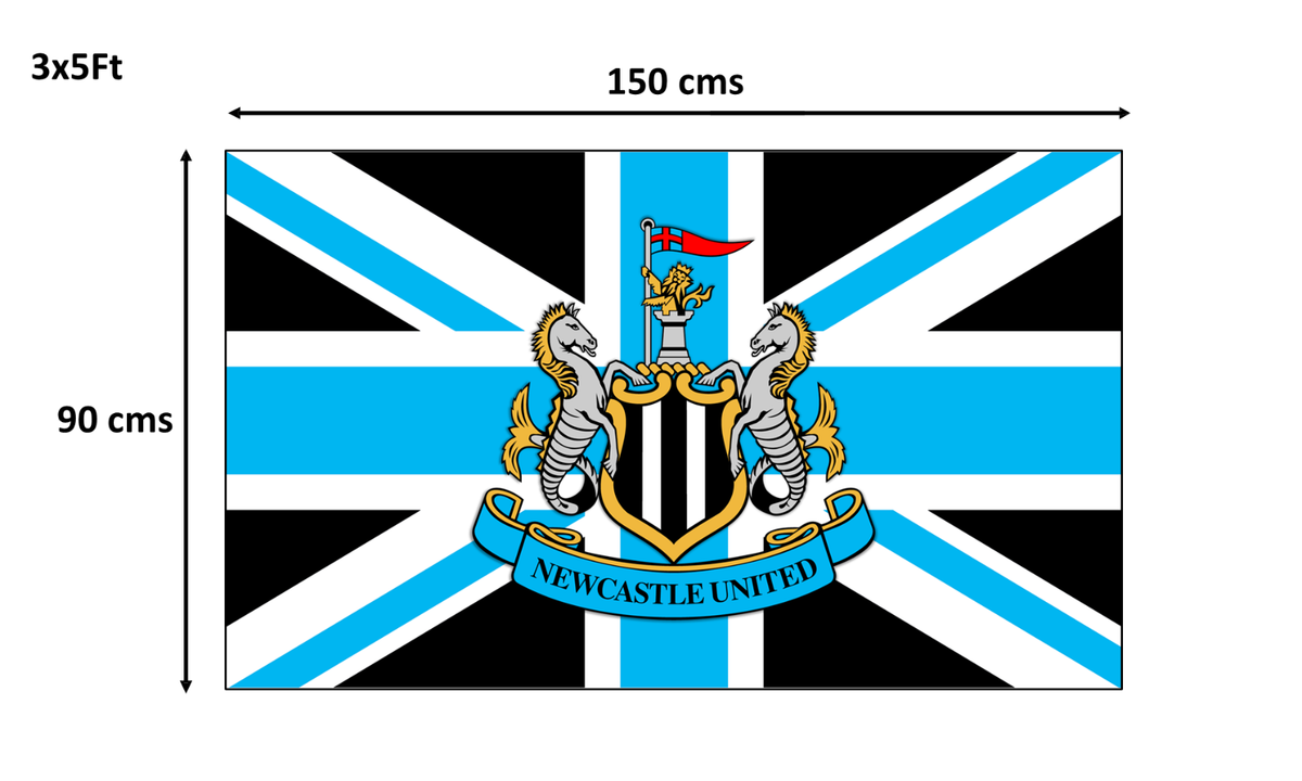 Newcastle United 3-3 Man City highlights as Magpies earn draw against