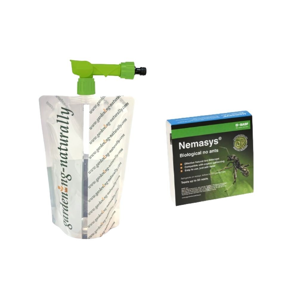 Ant Nematodes 50 Nests Control Ants in Your Garden Includes Nematode Applicator