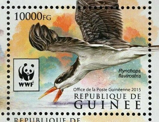 Hoja de recuerdo de aves Skimmer Stamp Rynchops Flavirostris MNH #11528-11531 Foto 4 de 4