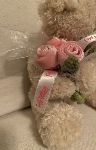 Gund “Feel Better” Teddy Bear Holding Roses and Sash NWT 9" Plush 15211 - Picture 8 of 12