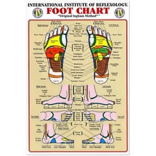 Reflexology Foot Chart Medical Massage Therapy Diagram Poster