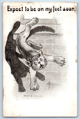 Artist Signed Postcard Cat Fell Expect To Be In My Feet Soon Chicago Illinois IL