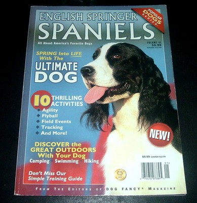 english springer spaniel agility