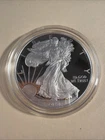 2020- W $1 AMERICAN SILVER PROOF EAGLE - COIN/CAPSULE
