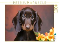 Calvendo Puzzle Dachshund | 1000 Pieces, Finished Size 25.2 × 18.9 In (64 × 48 C