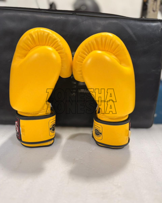 Twins Special Boxing Gloves Velcroo Strap Training Gloves 6oz to