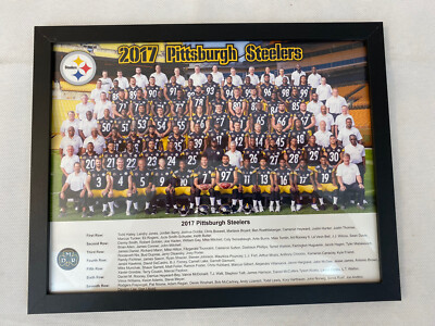 2017 Pittsburgh Steelers Team Photo 8x10 Framed DMR Killer Bs