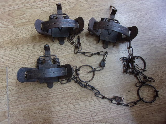 VINTAGE 3 VICTOR 1 1/2 COIL SPRING ANIMAL TRAP CO. TRAPPING FUR TRAPS