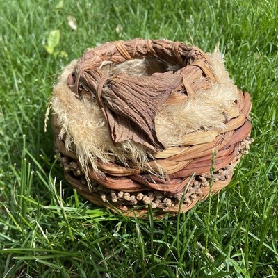 Mika McCann Basket Natural Fiber Art Handmade Maui Cocoseed Fairy Sculpture