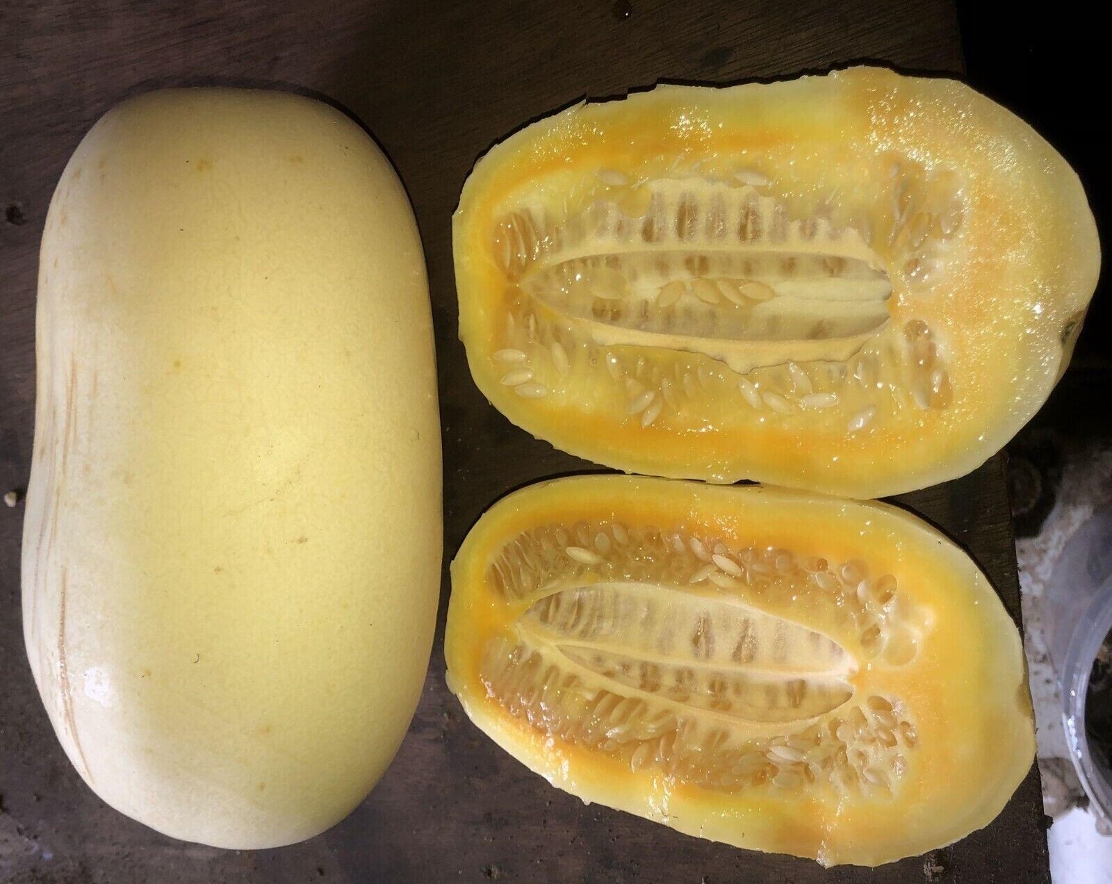 Pepino gigante siamés de Tailandia - 5+ semillas - Granos - Semillas - Cu 056