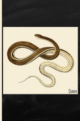 Snake: Queen Watercolor: 6x9 College Ruled Notebook by All about Me (English) Pa