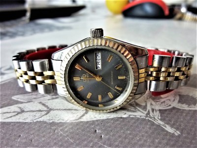 QQ Oyster Analoguhr Damen ANA0013