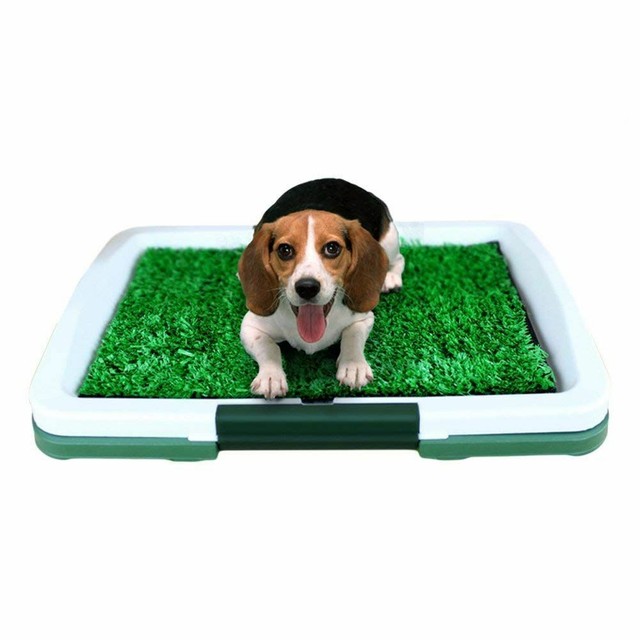 Dog Puppy Indoor Potty Pad Rug Training Grass Patch Toilet Mat Tray 18