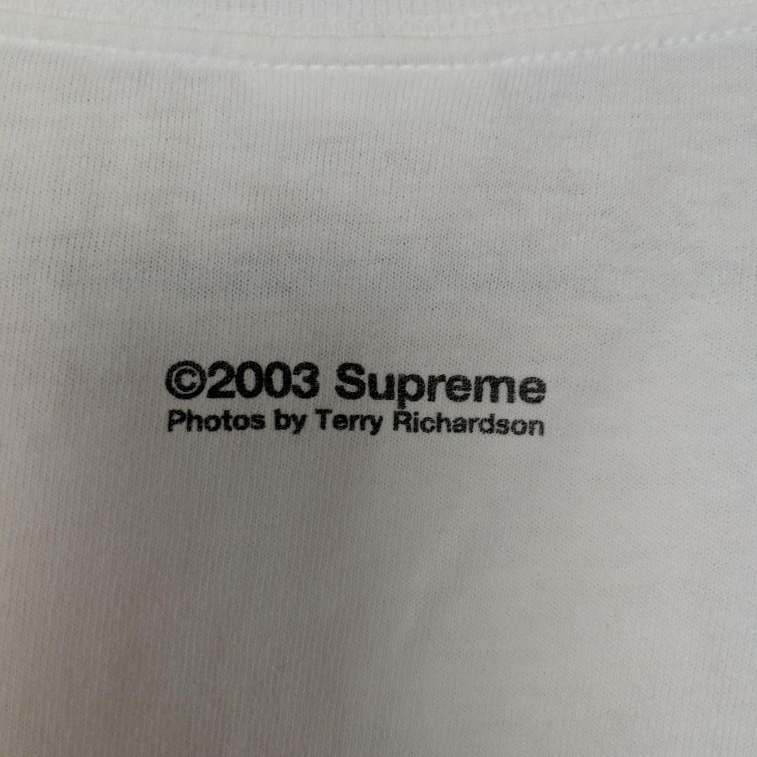 Supreme 2003 Terry Richardson T-shirt M Used Collector's Item from