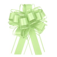 "5Stk 6\" GroßE Ziehschleife Organza Geschenkverpackung Schleifenband, FruchtgrüN"