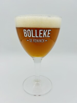 De Koninck Bolleke brand Half Pint 25cl Belgian Beer Glass Brand New Ritzenhoff
