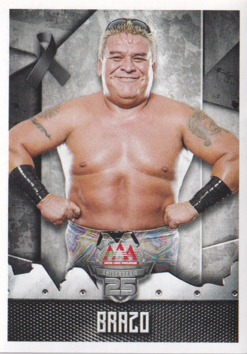 El Brazo 2017 Panini Lucha Libre AAA Worldwide Album Stickers Card #21 CMLL  NWA | eBay