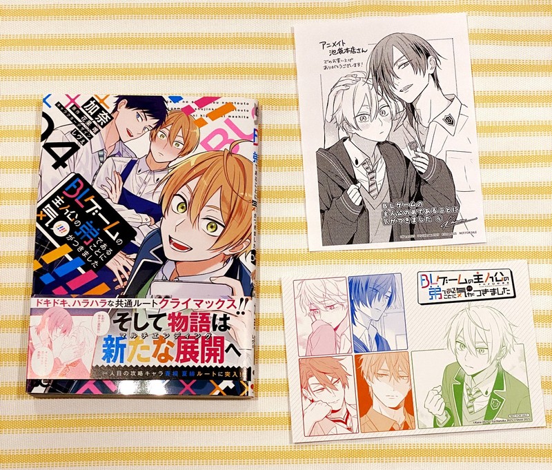BL Game no Shujinkou no Otouto de VOL 4 JAPANESE Manga Boys Love Isekai EXTRA