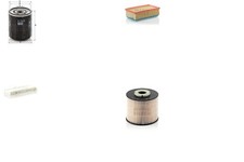 MANN-FILTER Inspektionspaket Filtersatz XL Filtereinsatz Partikelfilter M20x1.5