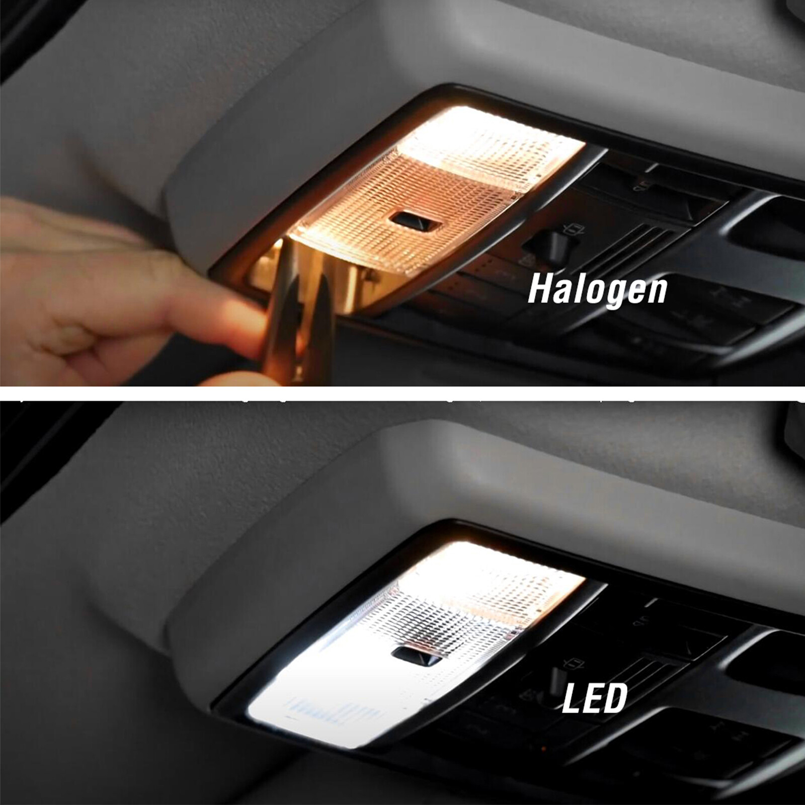 2X 12V LED 31MM FESTOON CAR 4WD INTERIOR LIGHT BULB WHITE 2SMD AUTO DOME GLOBE! eBay