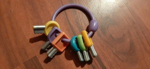 critter clinic replacement keys