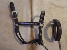 BEAUTIFUL RANCH SILVER CONCHO SHOW HALTER  LEAD SHANK - FULL HORSE HEADSTALL