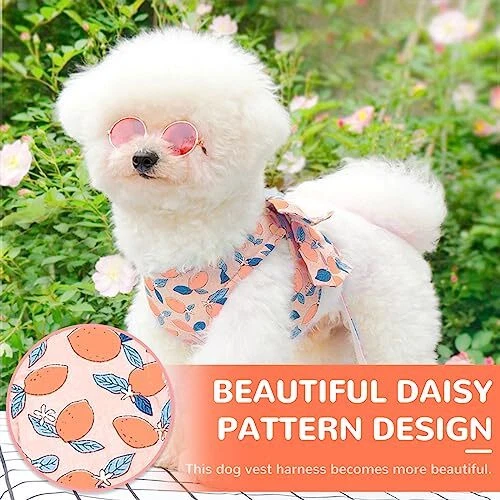 Dog Harness and Leash Set with Bow Knot No Pull Pet Floral Medium Orange