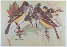 Rex Brasher Bird Print, Great Crested Flycatcher, 16x12 in.