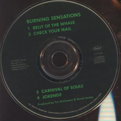 Burning Sensations: Self-Titled MUSIC AUDIO CD 80s Los Angeles area rock band!