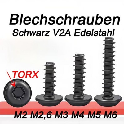 Torx Black Stainless Steel Self-Tapping Screws Flange Pan Head Panel/Body Screws