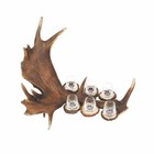 Set de 6 verres de liqueur de 60 ml avec de vrais bois de daim. chasse. 173703