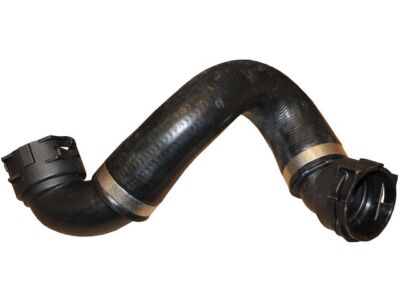 48SX83C Lower - Radiator To Thermostat Radiator Hose Fits 2007-2013 BMW ...