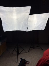 Professional Photography Lights