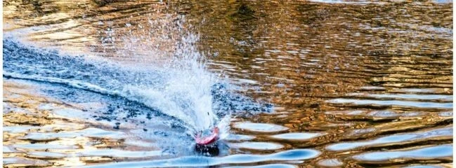 Carson 500108010 RC-Boot RAPSCALLION mit Brushlessantrieb RTR NEU & OVP - Bild 4 von 4