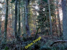 Photo 6x4 Gairloch : Two Lochs Radio Mial Two Lochs Radio is Scotland c2009