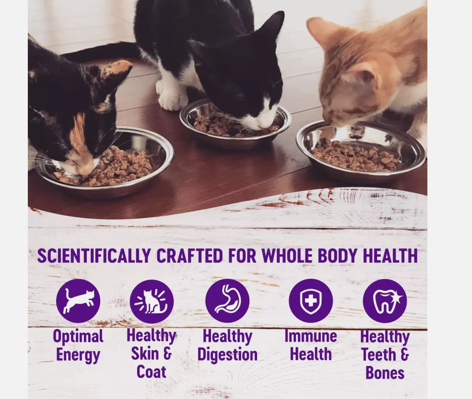 Wellness Complete Health Gravies Grain Free Canned Cat Food, Chicken Dinner, ... - Image 3 of 4