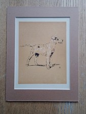 Terrier Dog Standing : Cecil Aldin, Artist - Print 1921