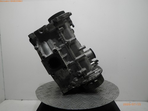 Zylinderkopf VW Polo V (6R)  75400 km